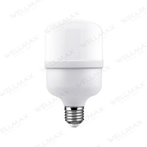 Classic Series T-Shape Bulb