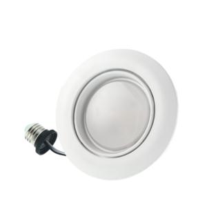 4inch and 6inch LED Eyeball Downlights