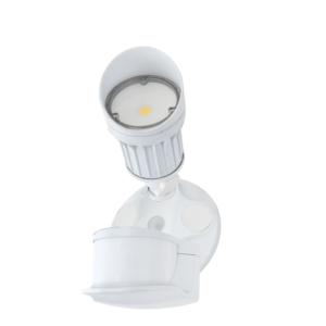 LED security light