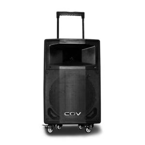 15 inch plastic trolley speaker with microphone