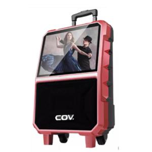 8 inch trolley speaker with LCD screen