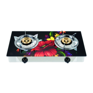 Gas stove