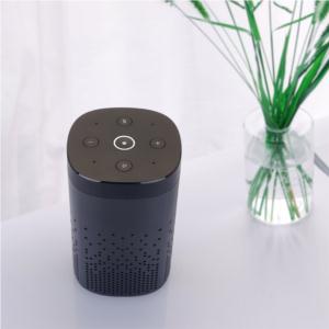 Smart Speaker + IR Control