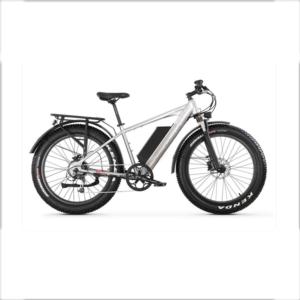 XTION NEW FAT TYRE ELECTRIC BKE  NEW TIRE EBIKE