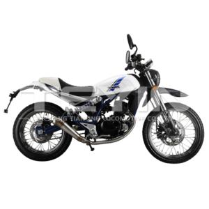 VOX CROSS COUNTRY MODEL