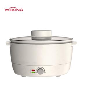 Multi function electric hot pot
