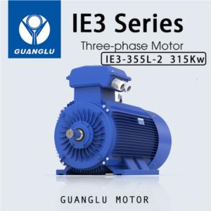 Three-Phase Asynchronous Motor IE3-355L-2 315kW
