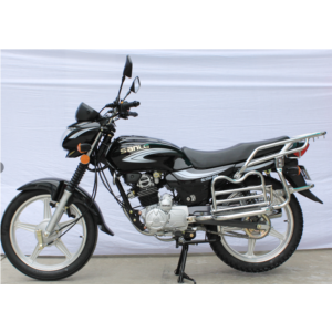 Two wheeled motorcycle (V wang)