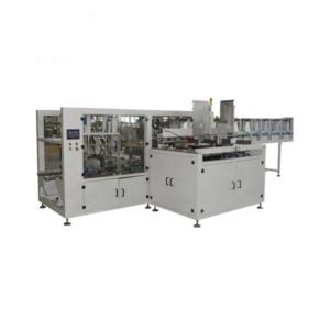 Piece type automatic case packer