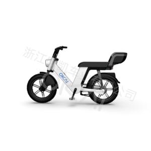 EB200 electric bike