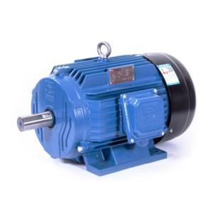 EM Series Three Phase Induction Motor IE2