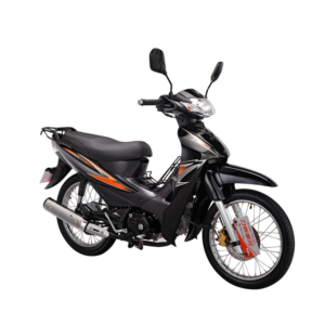 ARES 110 (LIFAN Cub Motorcycle)