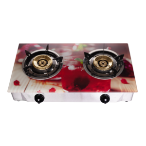 Double gas stove