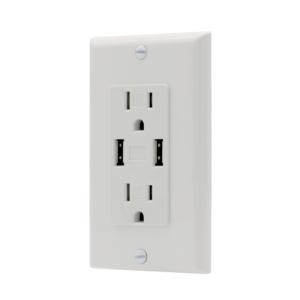 Receptacle with USB & plate
