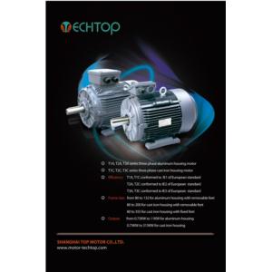 T series induction motors( IE1 IE2 IE3 IE4 efficiency)