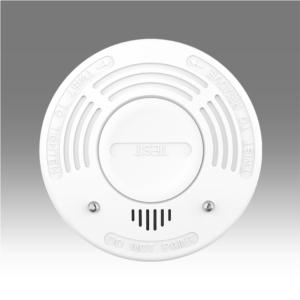 10Y smoke alarm