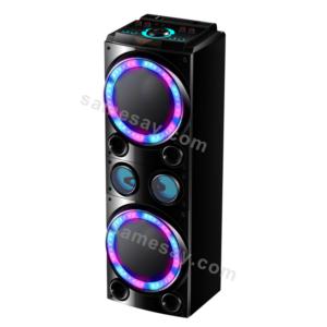 Dual 10 Inch High Power Party Speaker