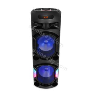 Dual 12 Inch High Power Party Speaker