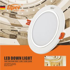 LED Down Light
