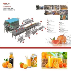 Citrus fruit processing line