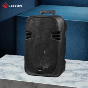 15W 30W RMS 12 inch portable bluetooth outdoor speaker with battery