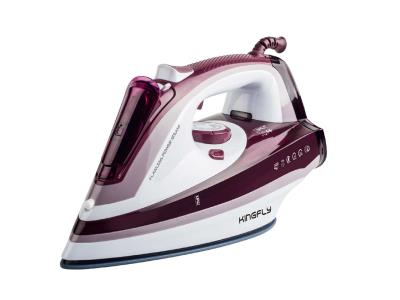 Steam Iron