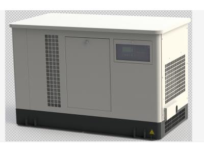 Multi-fuel generator 30kw