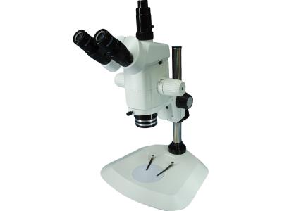SM Trinocular Zoom Microscope