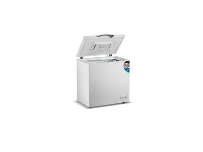 Chest Freezer