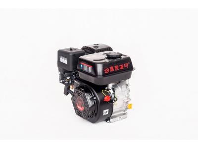 gasoline engine