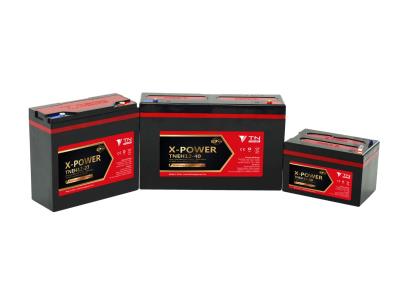 Electric bike batteries TNEH series