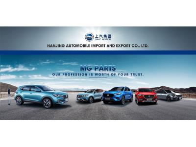 All spare parts of MAXUS brand