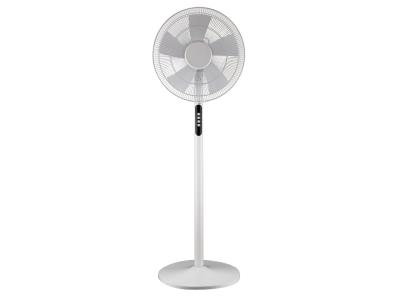 Stand Fan