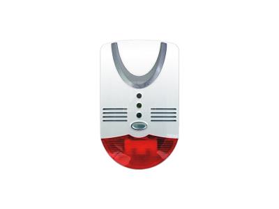 GK Household CO&Gas Alarm