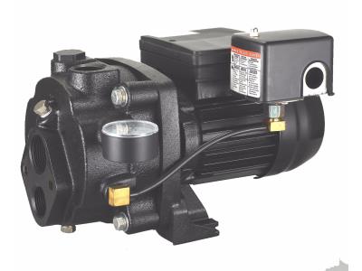 Cast Iron Convertible Jet Pumps