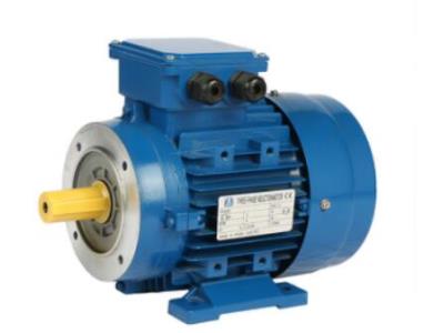 MS series three phase aluminum motor