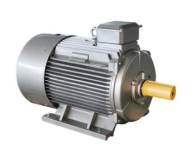 Y2 series three phase cas iron motor