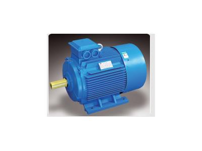 electric motor