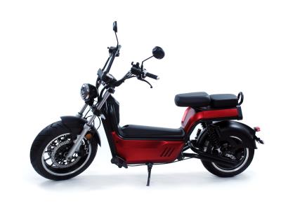 EEC/Coc Huge Motor Removable Battery 2-Man Fast-Charged Luqi Electric Motorcycle