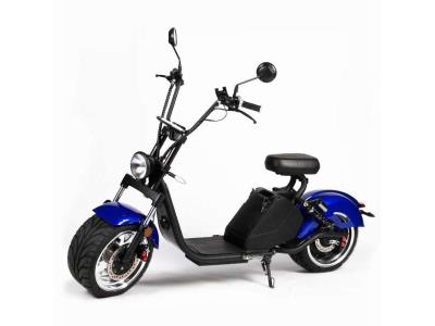 Big Promotion Nice Shape Luqi Electric Bicycle with Double Disc Brakes