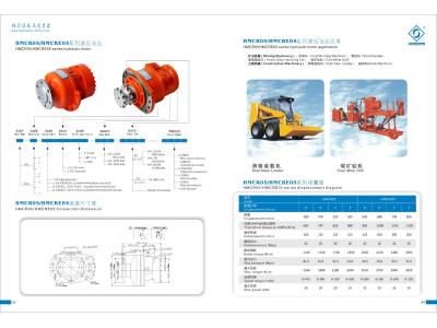 hydraulic motor
