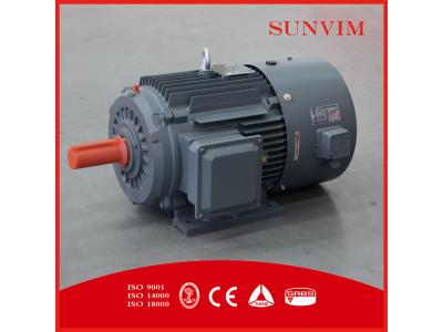 IE2 SERIES HIGH EFFICIENCY THREE PHASE ASYNCHRONOUS MOTOR