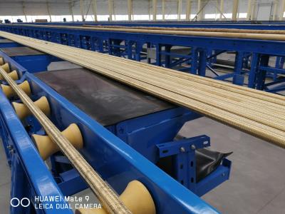 hydraulic hose