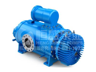 Twin screw pump