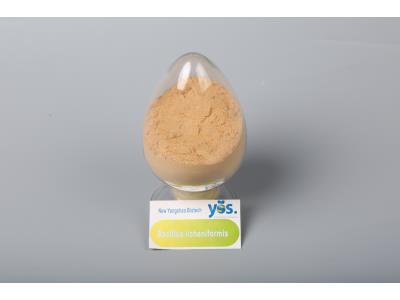 Bacillus licheniformis