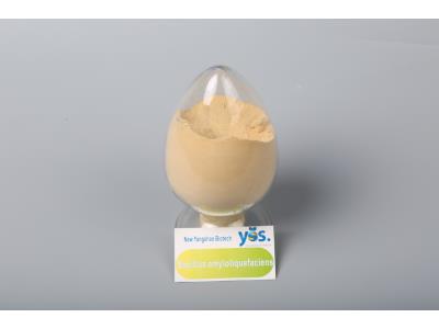 Bacillus amyloliquefaciens