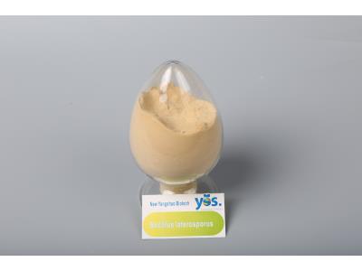 Bacillus Laterosporus