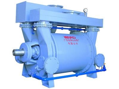 Liquid ring vacuum pump