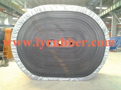 ST Conveyor Belt