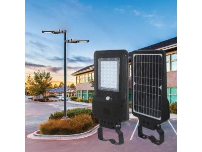 Solar Garden Light